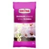 Substral Potgrond Orchidee 6 Liter