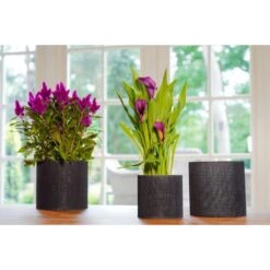 Bloempotten Jacco Zwart - Set Van 5 Stuks -Ecopots Tuingereedschap Verkoop 1614005418 3 600