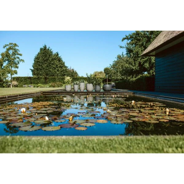 CAPI Bloempot Bol Rib NL 55 × 53 Cm - Antraciet 3 CAPI Bloempot Bol Rib NL 55 × 53 Cm - Antraciet - Afbeelding 3