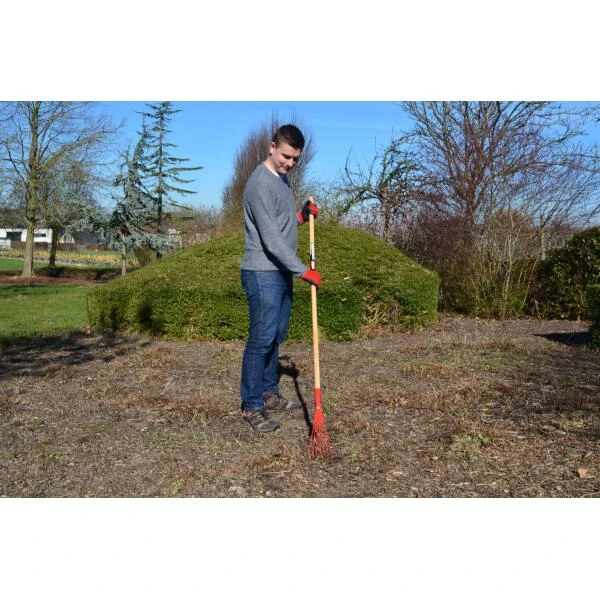 Bladhark Polet Met Steel - 12 Cm 5 Bladhark Polet Met Steel - 12 Cm - Afbeelding 5