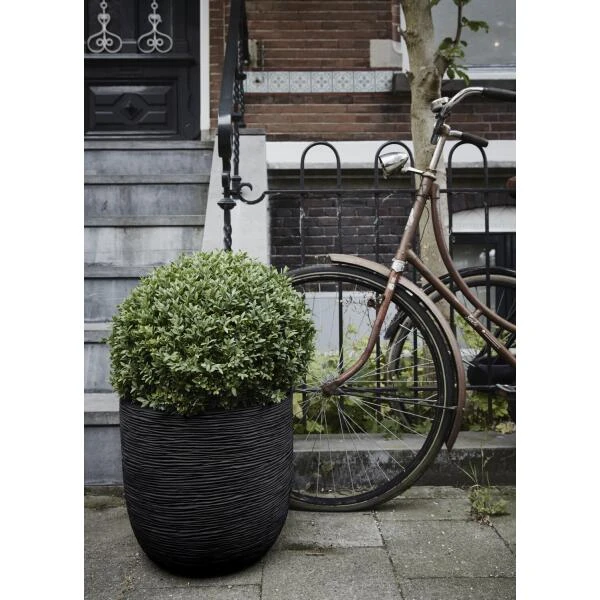 CAPI Bloempot Bol Rib NL 43 × 41 Cm - Zwart 2 CAPI Bloempot Bol Rib NL 43 × 41 Cm - Zwart - Afbeelding 2