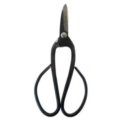 Bonsai Schaar - Medium