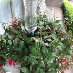 Druppelsysteem Voor Op Flessen -Ecopots Tuingereedschap Verkoop druppelaar flessen 1559386121 1 600