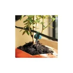 Druppelkit 10 L Met 6 Druppelaars -Ecopots Tuingereedschap Verkoop druppelkit 10 l met 6 druppelaars 1484052710 5 600