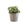 ECOPOTS Amsterdam Mini - Taupe Ø 17 Cm