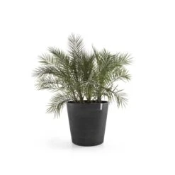ECOPOTS Amsterdam Op Wielen - Antraciet Ø 60 Cm
