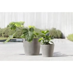 ECOPOTS Amsterdam - Taupe Ø 30 Cm -Ecopots Tuingereedschap Verkoop ecopots amsterdam taupe 30 cm 1673010783 1 600