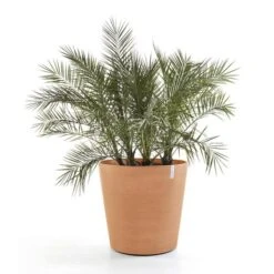 ECOPOTS Amsterdam Op Wielen - Terracotta 80 Cm