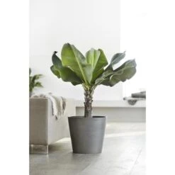 ECOPOTS Amsterdam Op Wielen - Grijs 80 Cm -Ecopots Tuingereedschap Verkoop ecopots amsterdam wheels grijs 80 cm 1594197169 1 600
