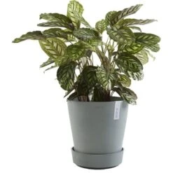 ECOPOTS Amsterdam Onderschotel Op Wielen - Blauwgrijs Ø 34 Cm -Ecopots Tuingereedschap Verkoop ecopots amsterdam wheels witgrijs 34 cm 1613130366 3 600