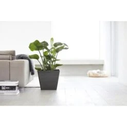 ECOPOTS Rotterdam - Antraciet 50 Cm -Ecopots Tuingereedschap Verkoop ecopots rotterdam antraciet 50 cm 1594198202 1 600