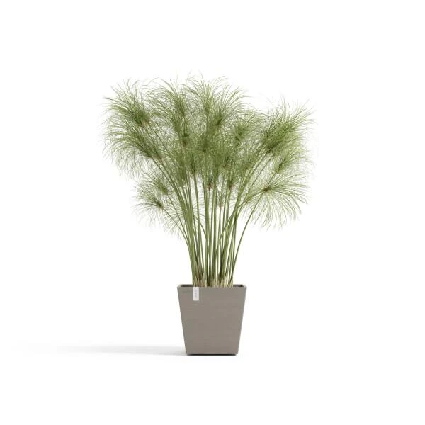 ECOPOTS Rotterdam Met Waterreservoir Taupe - 25 Cm 1 ECOPOTS Rotterdam Met Waterreservoir Taupe - 25 Cm