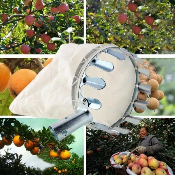 Fruitplukker Met Opvangzak 1 Fruitplukker Met Opvangzak