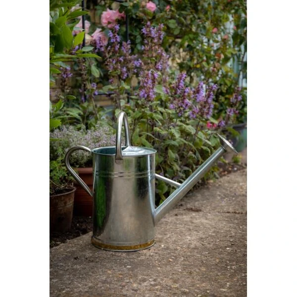 Gieter Gegalvaniseerd Metaal 9 Liter 2 Gieter Gegalvaniseerd Metaal 9 Liter - Afbeelding 2