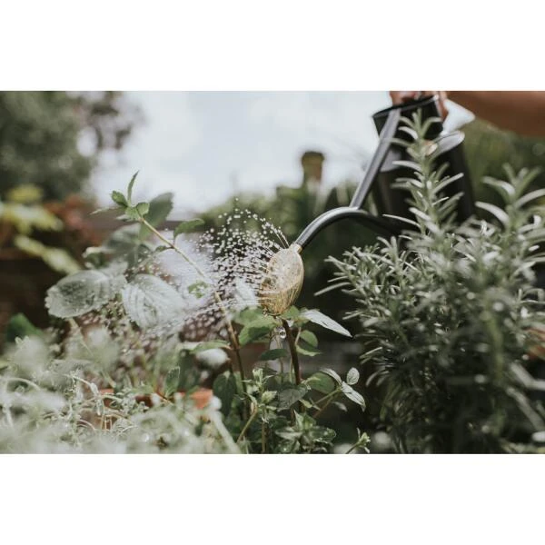 Gieter Haws 1 Liter - Metaal Antraciet 3 Gieter Haws 1 Liter - Metaal Antraciet - Afbeelding 3