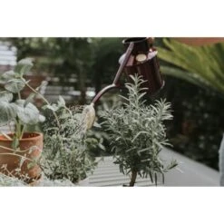 Gieter Haws 1 Liter - Metaal Bordeaux -Ecopots Tuingereedschap Verkoop gieter haws 1 l metaal bordeaux 1659093222 3 600