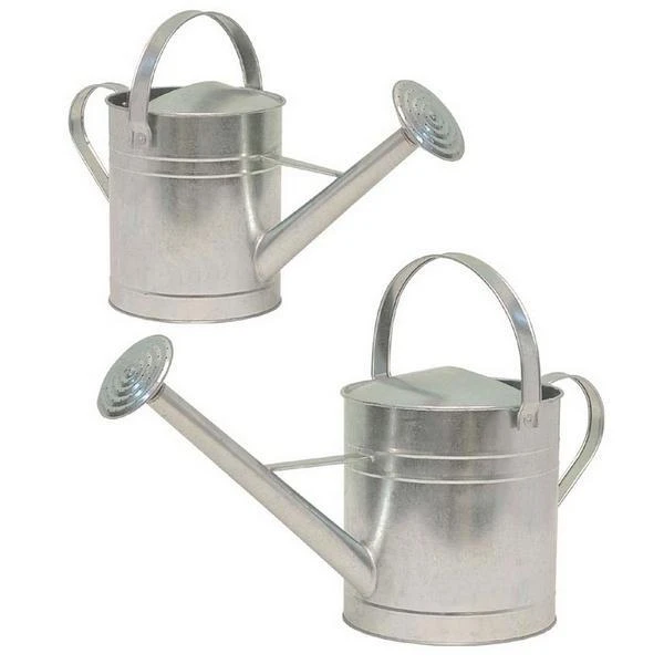 Gieter Zink - 5 Liter 1 Gieter Zink - 5 Liter