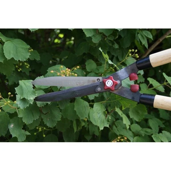 Heggenschaar 53 Cm - Houten Handgrepen 3 Heggenschaar 53 Cm - Houten Handgrepen - Afbeelding 3