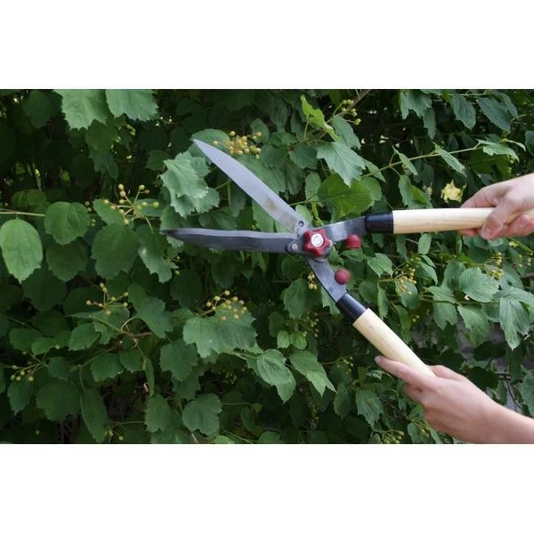 Heggenschaar 53 Cm - Houten Handgrepen 4 Heggenschaar 53 Cm - Houten Handgrepen - Afbeelding 4
