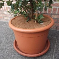 Kokos Afdekring Bloempotten - Ø 37 Cm -Ecopots Tuingereedschap Verkoop kokos 2delige afdekring 37 cm 1484053767 5 600