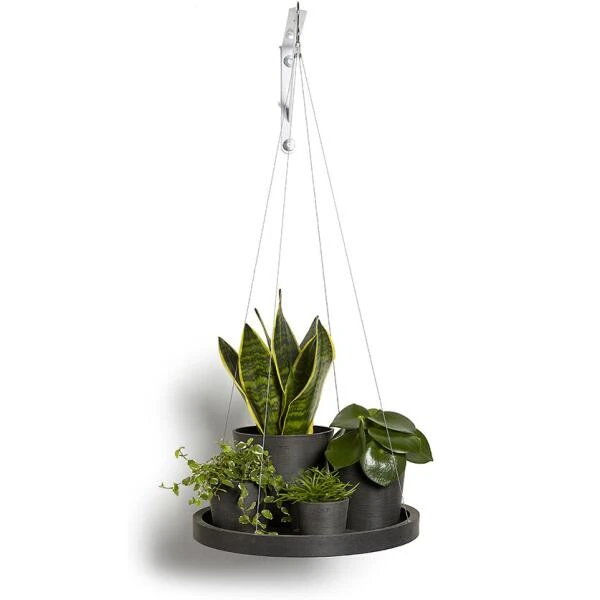 ECOPOTS Onderschotel Hangend - Antraciet Ø 36 Cm 2 ECOPOTS Onderschotel Hangend - Antraciet Ø 36 Cm - Afbeelding 2