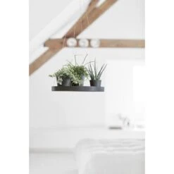 ECOPOTS Onderschotel Hangend - Antraciet Ø 36 Cm 5 ECOPOTS Onderschotel Hangend - Antraciet Ø 36 Cm -Ecopots Tuingereedschap Verkoop onderschotel hangend antraciet 36 cm 1594199277 1 600