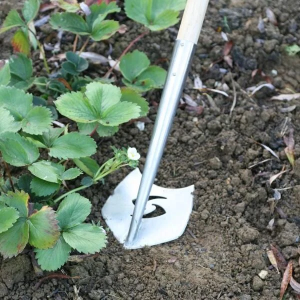 Onkruidwieder 'Speedhoe' - Ergonomisch 170 Cm 2 Onkruidwieder 'Speedhoe' - Ergonomisch 170 Cm - Afbeelding 2