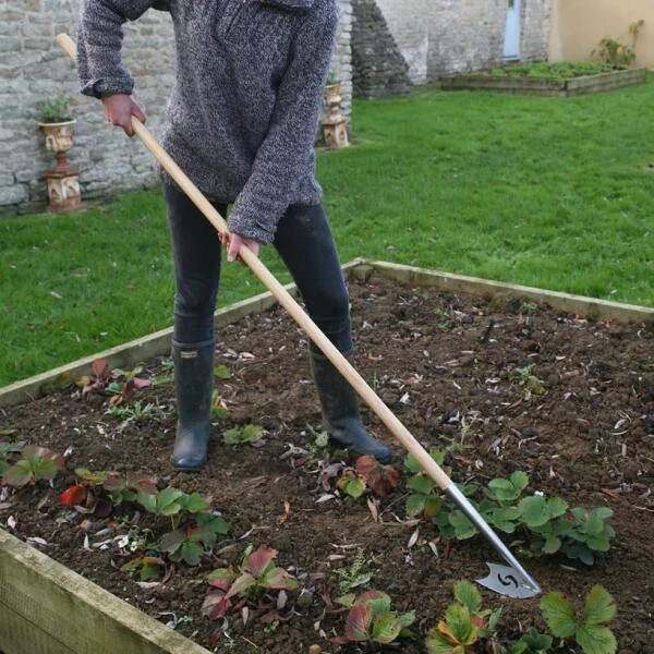 Onkruidwieder 'Speedhoe' - Ergonomisch 170 Cm 3 Onkruidwieder 'Speedhoe' - Ergonomisch 170 Cm - Afbeelding 3