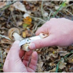 ESSCHERT DESIGN Paddenstoelenmes -Ecopots Tuingereedschap Verkoop paddenstoelenmes 1492510947 1 600