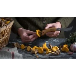 Paddenstoelenmes - OPINEL N°8 -Ecopots Tuingereedschap Verkoop paddenstoelenmes opinel n8 1546936746 1 600