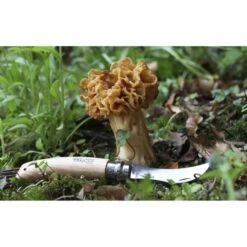 Paddenstoelenmes - OPINEL N°8 -Ecopots Tuingereedschap Verkoop paddenstoelenmes opinel n8 1546937648 1 600