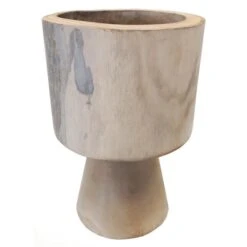 Paulownia Kelk Ø 20 × 30 Cm