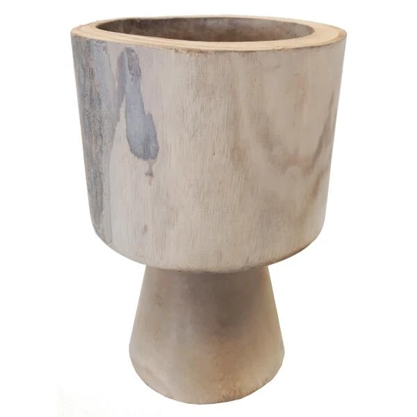 Paulownia Kelk Ø 20 × 30 Cm 1 Paulownia Kelk Ø 20 × 30 Cm