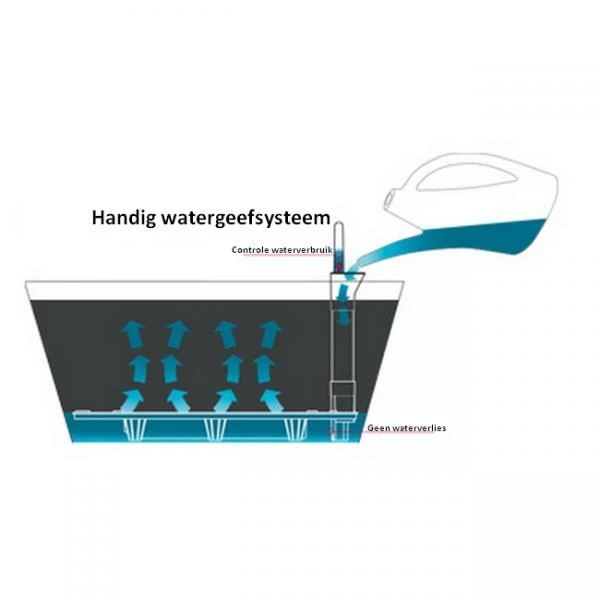 Plantenbak RATAN Verhoogd Met Watergeefsysteem - 60 × 25 × 46 Cm 4 Plantenbak RATAN Verhoogd Met Watergeefsysteem - 60 × 25 × 46 Cm - Afbeelding 4