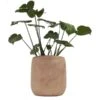 Plantenpot Pia Hout - 31 × 32 Cm