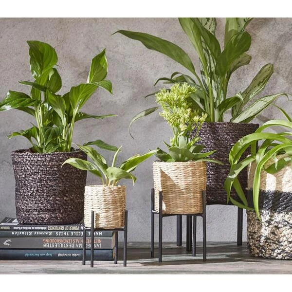 Plantenstandaard Scott Zwart - 16 × 16 × 35 Cm 2 Plantenstandaard Scott Zwart - 16 × 16 × 35 Cm - Afbeelding 2