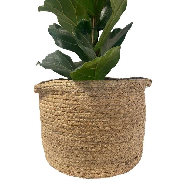 Rieten Mand - Set Van 3 Stuks 2 Rieten Mand - Set Van 3 Stuks - Afbeelding 2