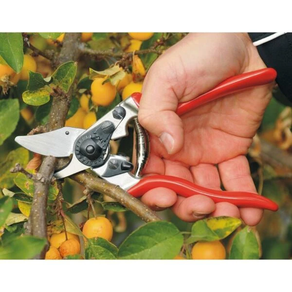 Snoeischaar Felco 6 Compact 2 Snoeischaar Felco 6 Compact - Afbeelding 2