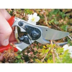 Snoeischaar FELCO 9 - Klassiek Linkshandigen -Ecopots Tuingereedschap Verkoop snoeischaar felco 9 linkshandigen 1517237191 3 600