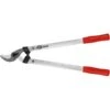 Takkenschaar Felco 211-60 - 60 Cm