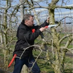 Takkenzaag Felco 611 - Recht + Draagholster Met Clipsysteem -Ecopots Tuingereedschap Verkoop takkenzaag felco 611 recht 1517236499 1 600