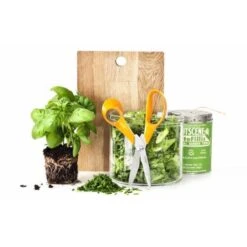 Universele Schaar Classic 18 Cm - Fiskars -Ecopots Tuingereedschap Verkoop tuinschaar classic 18 cm 1621501448 1 600