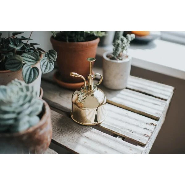 Vernevelaar Haws - Goudkleurig 2 Vernevelaar Haws - Goudkleurig - Afbeelding 2