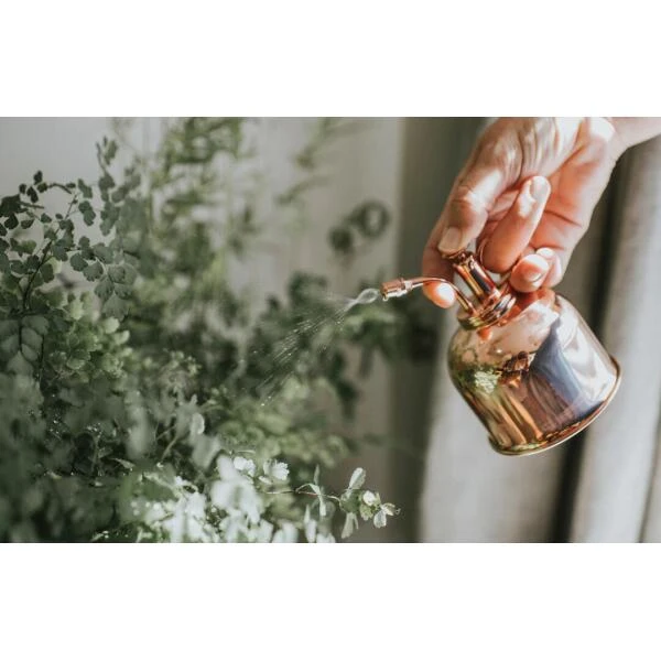 Vernevelaar Haws - Koperkleurig 2 Vernevelaar Haws - Koperkleurig - Afbeelding 2