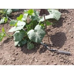 Vloeidarm Rol 250 Meter 10 Vloeidarm Rol 250 Meter -Ecopots Tuingereedschap Verkoop vloeidarm rol 250 meter 1532606530 2 600