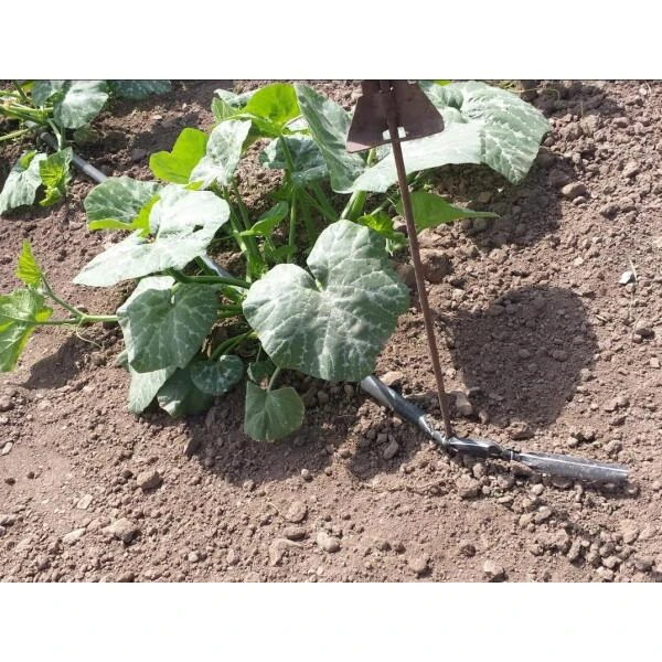 Vloeidarm Rol 250 Meter 5 Vloeidarm Rol 250 Meter - Afbeelding 5