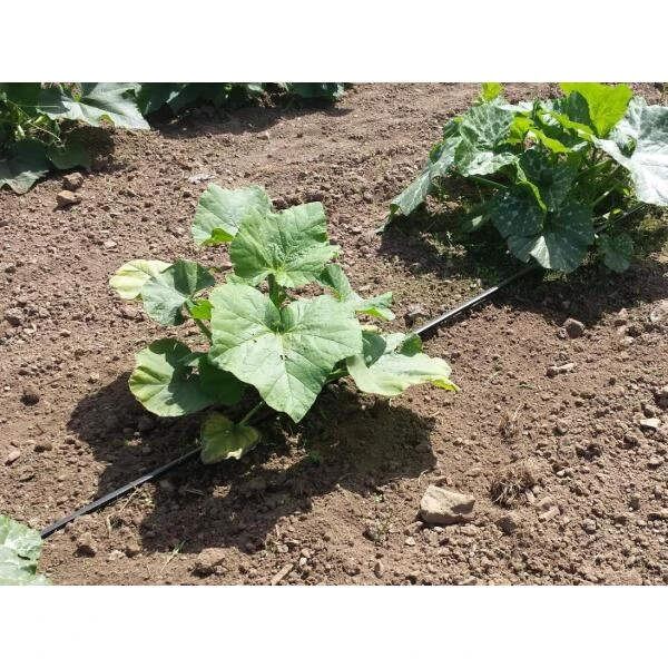 Vloeidarm Rol 250 Meter 6 Vloeidarm Rol 250 Meter - Afbeelding 6