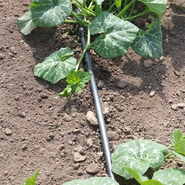 Vloeidarm Rol 250 Meter 1 Vloeidarm Rol 250 Meter