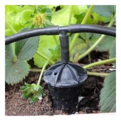 Watergeefsysteem Met 20 Druppelaars