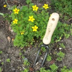 Wiedvork Twee Tanden Gesmeed - 28 Cm -Ecopots Tuingereedschap Verkoop wiedvork gesmeed 28 cm 1484057784 2 600